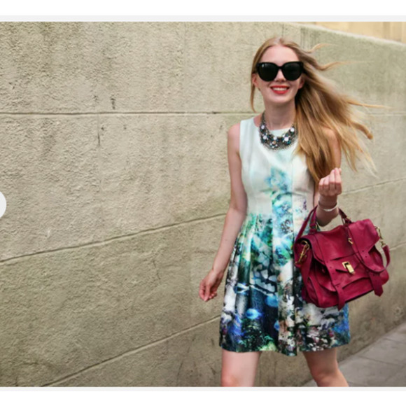 Zara‎ Basics Dress XS Aquarium Print Tulip Mini Holiday Bloggers Fav NWOT - Picture 2 of 16